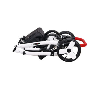 Carucior Florino Carbon 2 in 1 FC02 Coletto