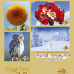 Puzzle Mix - Primul meu puzzle | Creat Cera