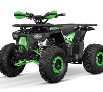 ATV electric pentru copii mari, ECO DustRider XXL 1000W 48V 20Ah cu diferential, roti 8 inch, verde