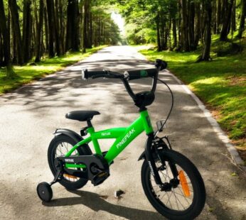 Bicicleta pentru copii Procart Verde 14 inch, roti ajutatoare detasabile, cadru otel 21.5 cm, manere cauciucate, ghidonsa reglabile