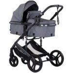 Carucior Chipolino Amore 2 in 1 cloud grey