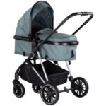 Carucior Chipolino Aura 2 in 1 basil