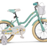 Bicicleta pentru copii 4-6 ani Carpat C16178A Turcoaz 16 inch