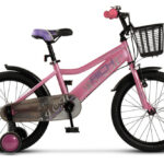 Bicicleta pentru copii 5-7 ani Rich R1805A RozMov 20 inch