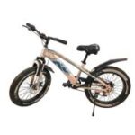 Bicicleta copii, cauciucuri groase, nr. 20