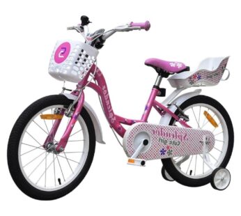 Bicicleta pentru copii Novokids SplendOr Boom Pro Edition Roz, cosulet pentru papusi, roti 20 inch, maxim 50 kg, cadru din otel, roti ajutatoare detasabile, ghidon reglabil pe inaltime